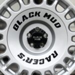 ANK-79024 — спицы крупным планом