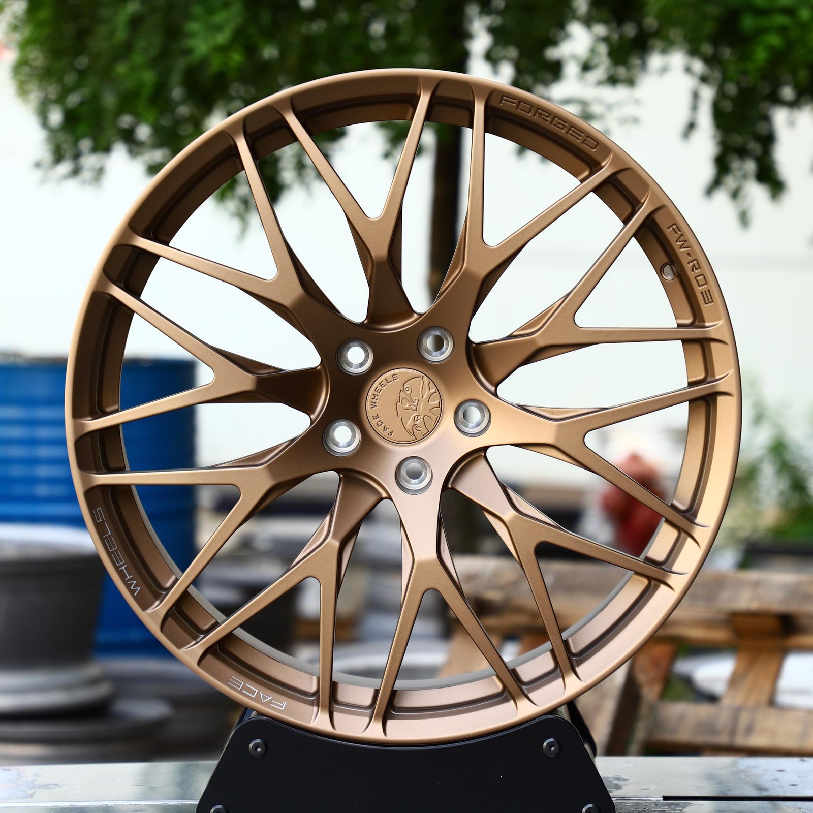 Porsche 911 wheels – Bronze 10 Y-Spoke, front view
