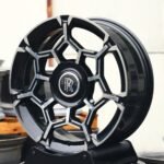 ANK-66808 — спицы крупным планом