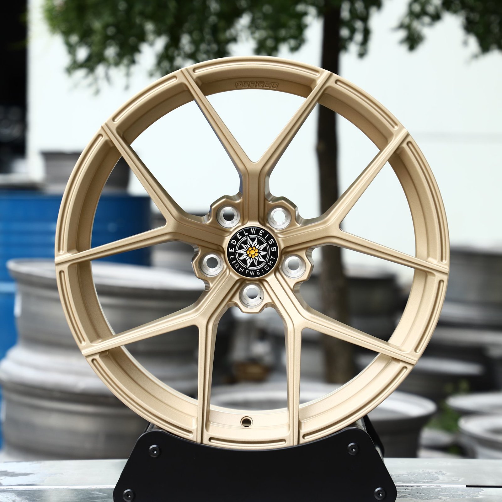 BMW M2 G87 wheels – LT3 Pale Gold Daisy-Spoke 5 Y-Spoke (Edelweiss-Style), front view