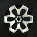 Tank 300 / 500 Off-Road 6-Lug Forged Wheels – Custom Finish
