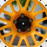 ANK-79209 — спицы крупным планом