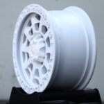 ANK-64273 — спицы крупным планом