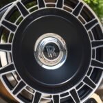 ANK-66822 — спицы крупным планом