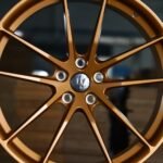 ANK-70969 — спицы крупным планом
