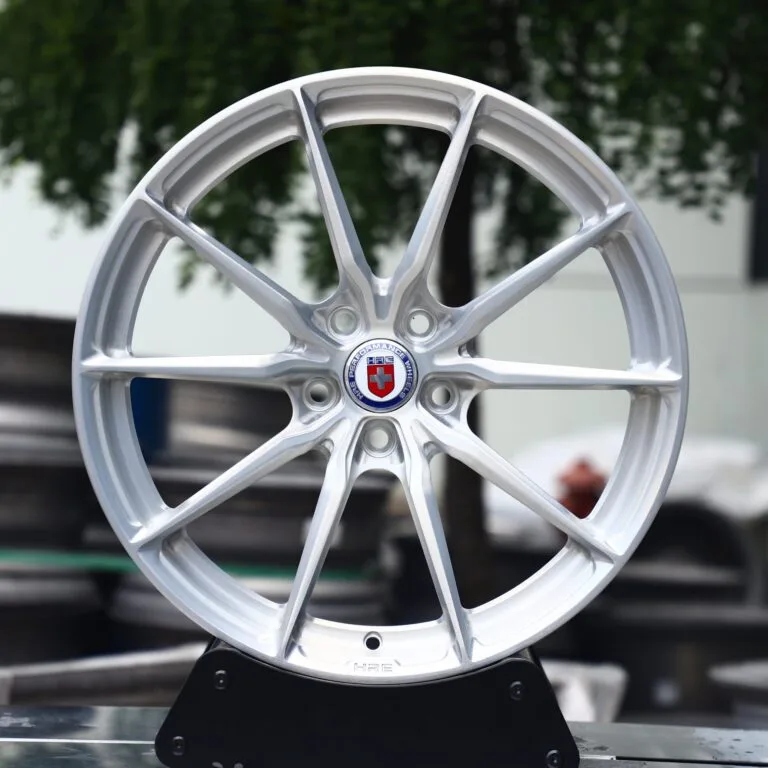 Porsche 911 wheels – Brushed Silver 10-Spoke (HRE Performance P101-Style), front view