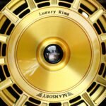 ANK-66696 — спицы крупным планом
