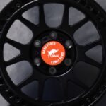 ANK-72808 — спицы крупным планом