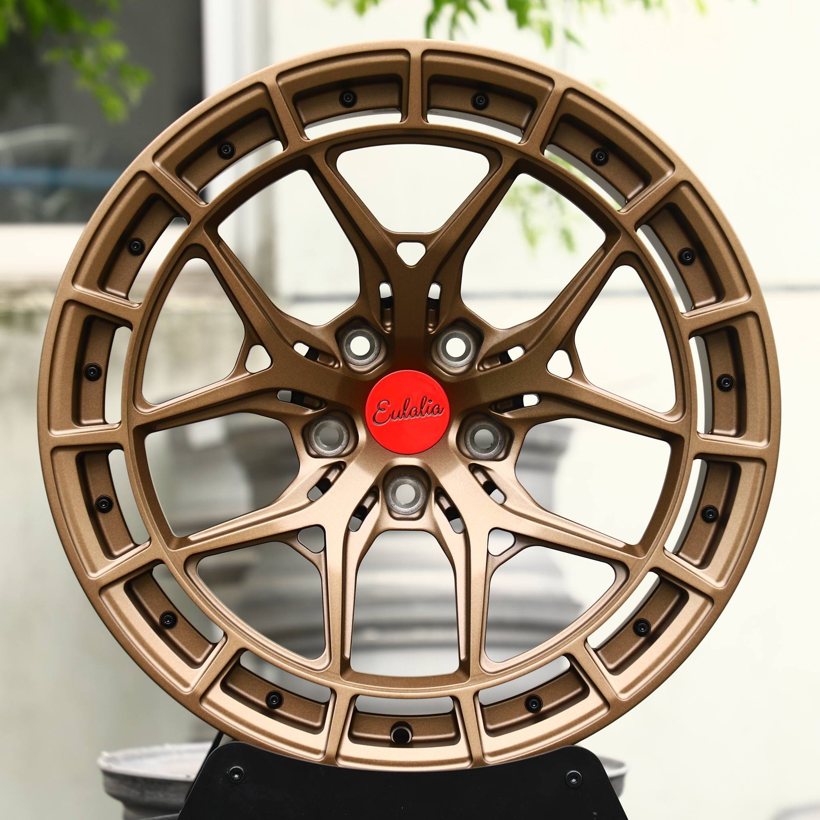 Porsche 911 wheels – Bronze Mesh Riveted Beadlock, front view