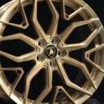 ANK-66853 — спицы крупным планом