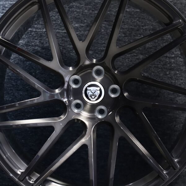 Jaguar F-Type wheels – Transparent Gray 10 Y-Spoke Concave, front view