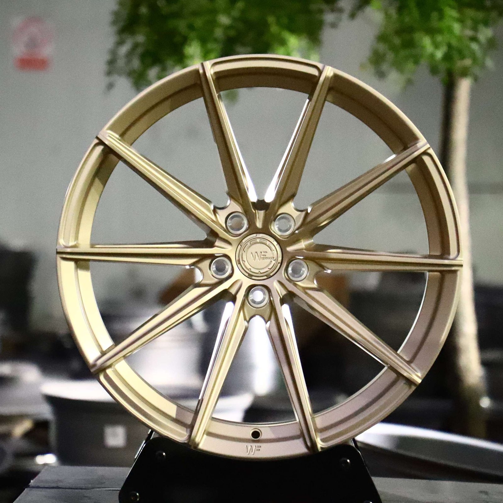Audi RS3 wheels – WF Pale Gold 10-Spoke, front view