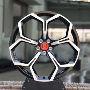 Zeekr 001 / 009 Forged Wheels – Matte Silver Petal-Spoke Machined Face
