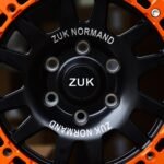 ANK-79192 — спицы крупным планом