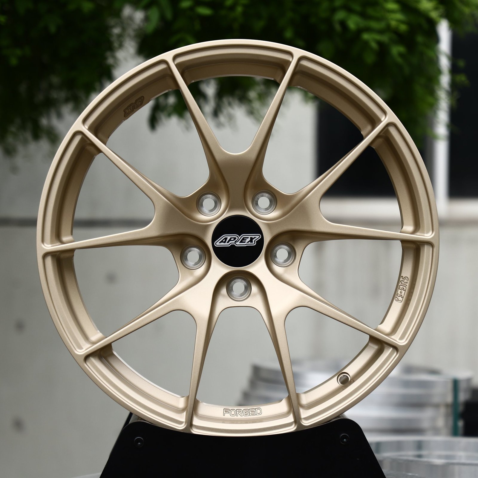 Porsche 911 wheels – Champagne Gold 10-Spoke (APEX-Style), front view