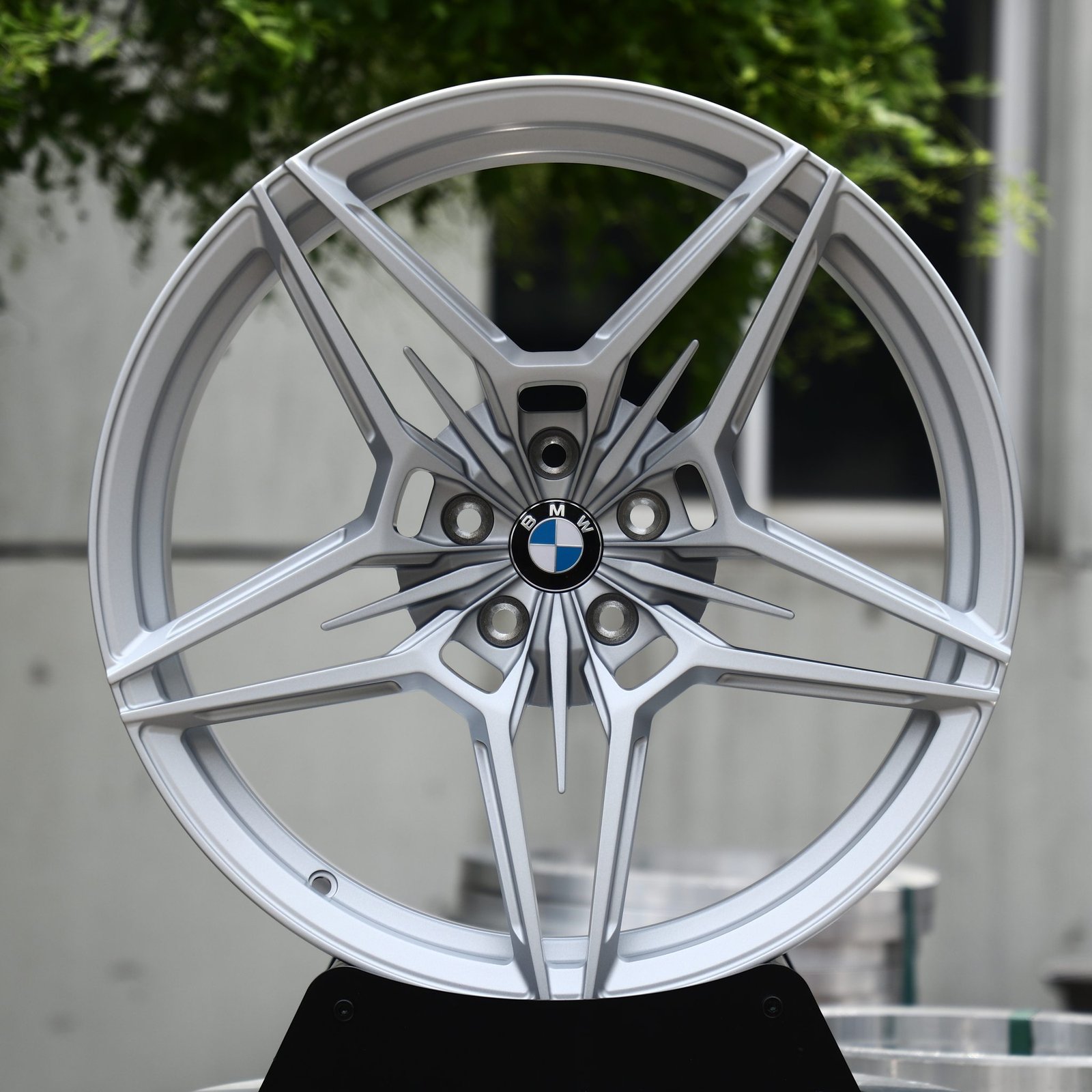 BMW X5 wheels – Matte Silver 5-Star Twin-Spoke (BMW OEM-Style), front view