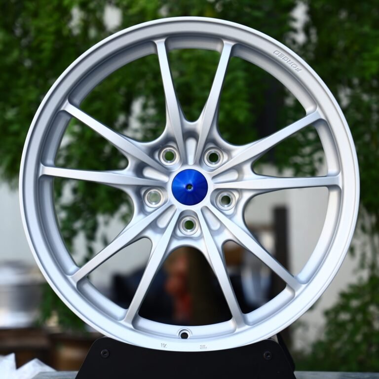 BMW X5 wheels – Matte Silver 10-Spoke Blue Cone Cap, front view